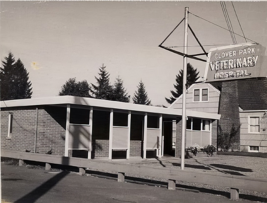 A Photographic Journey Through 1960s Washington Signs