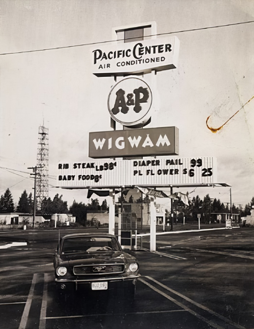 A Photographic Journey Through 1960s Washington Signs