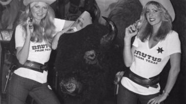 Brutus Fashion 1960s 1970s