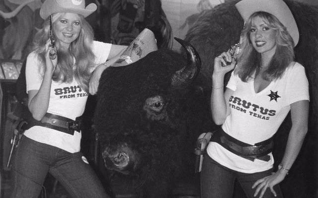 Brutus Fashion 1960s 1970s