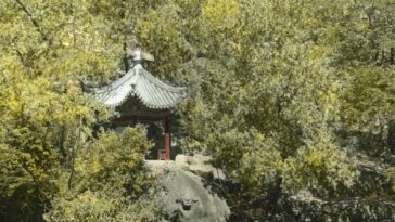 China 1920s 1930s Serge Vargassoff