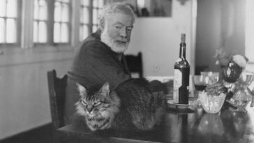 The Adventurous Life of Ernest Hemingway through these Amazing Historical Photos