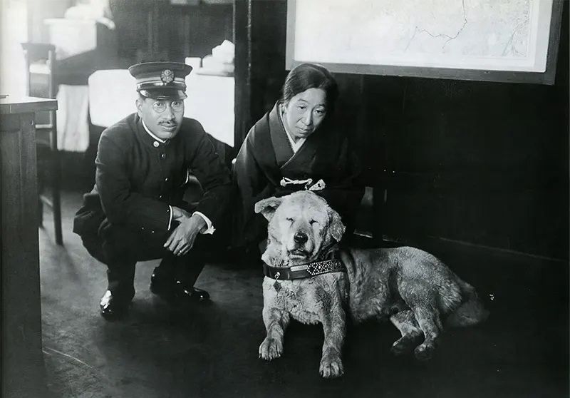 Hachiko The Touching Story of a Loyal Dog who Waited for Ten years for