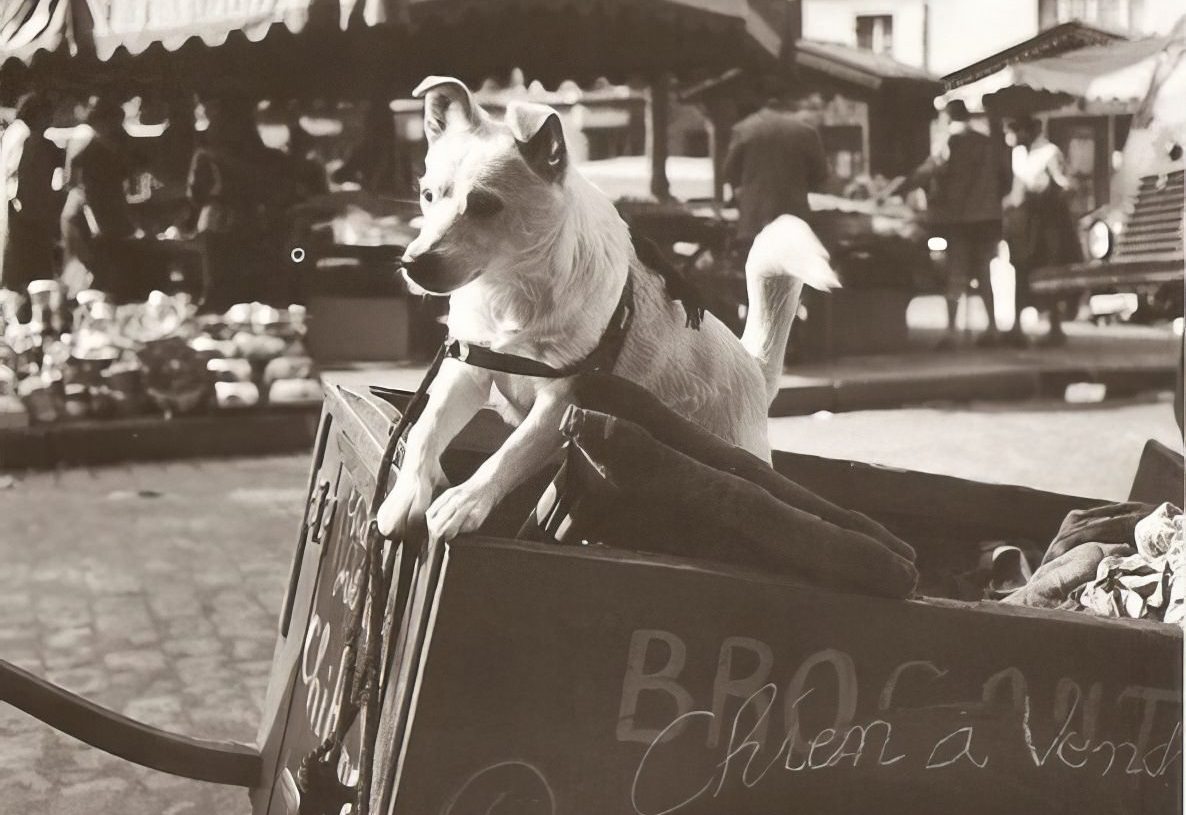 Paris 1930s Roger-Viollet