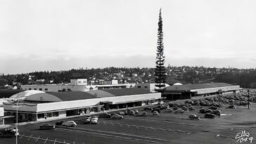 World's Tallest Christmas Tree