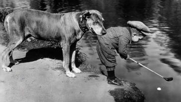 Vintage Photos of People with Pets