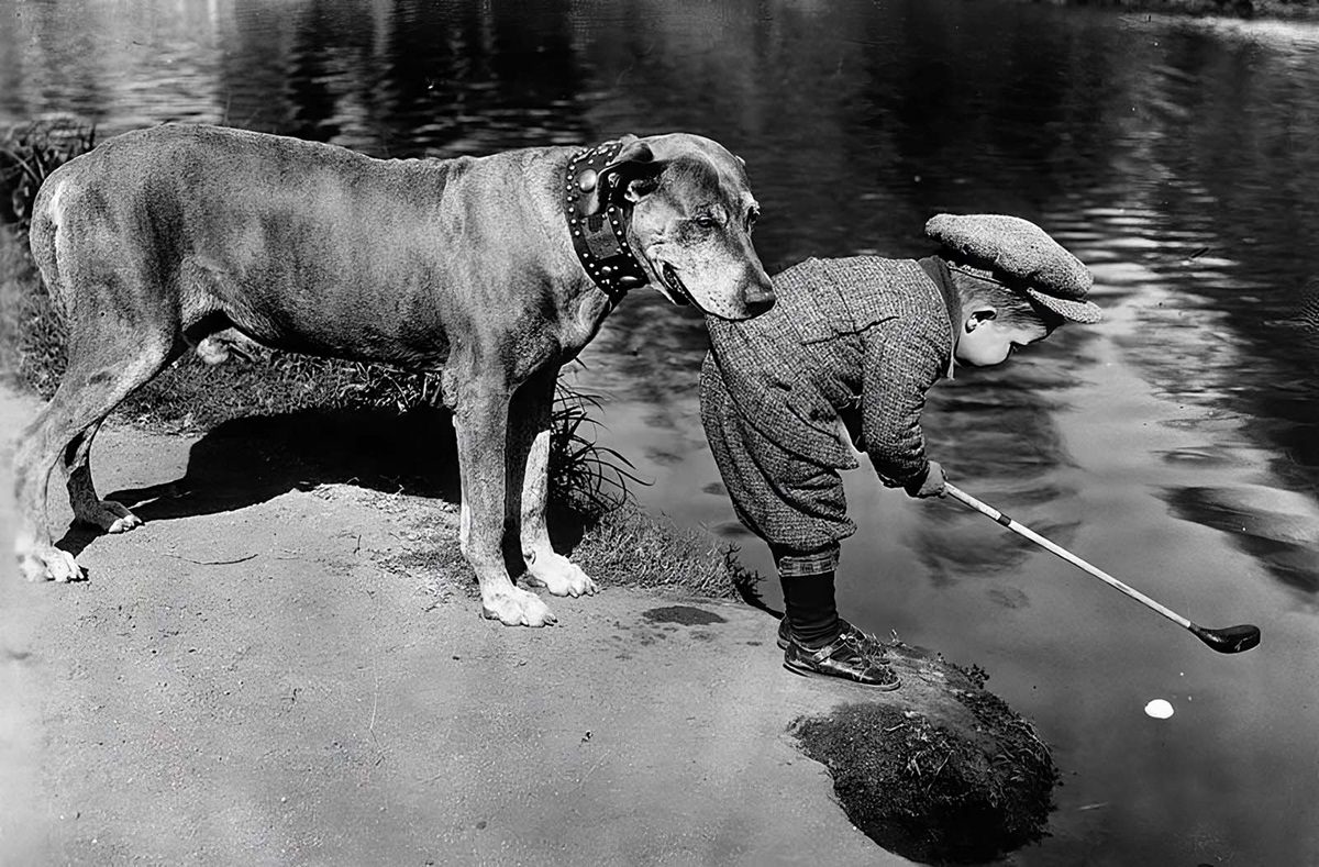 Vintage Photos of People with Pets