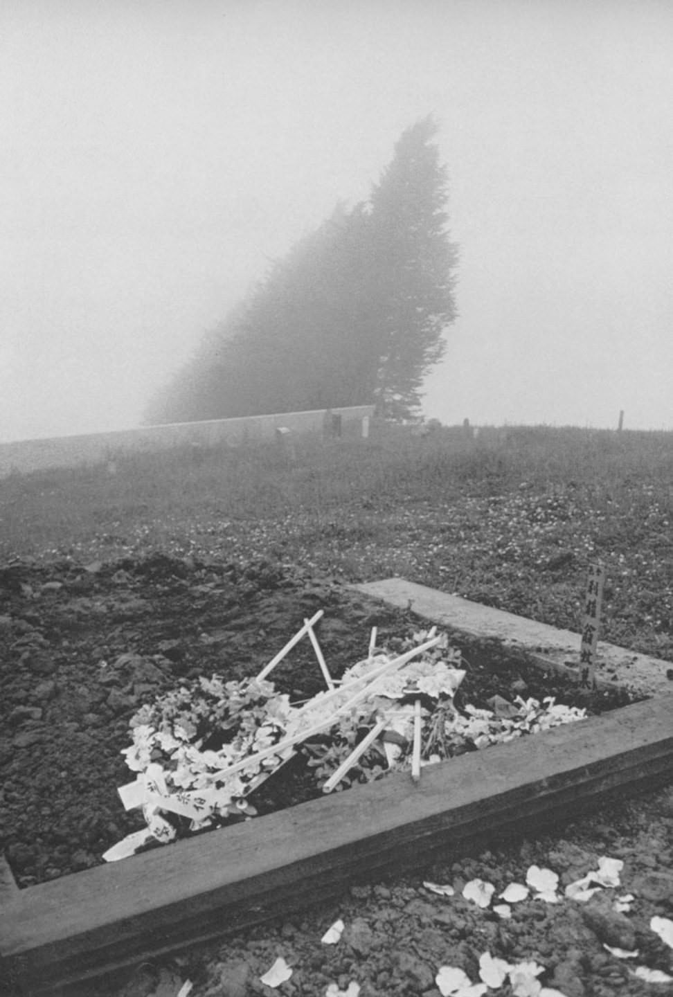 Chinese cemetery — San Francisco, 1956