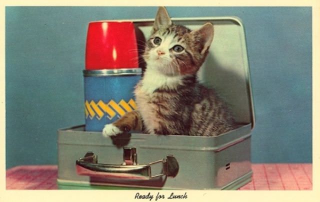 "Wish You Were Here... To Witness This Awkwardness!": A Journey Through Hilariously Bad Vintage Postcards