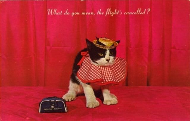 "Wish You Were Here... To Witness This Awkwardness!": A Journey Through Hilariously Bad Vintage Postcards