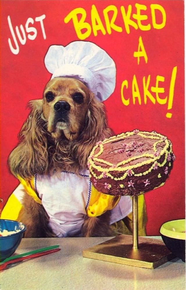 "Wish You Were Here... To Witness This Awkwardness!": A Journey Through Hilariously Bad Vintage Postcards