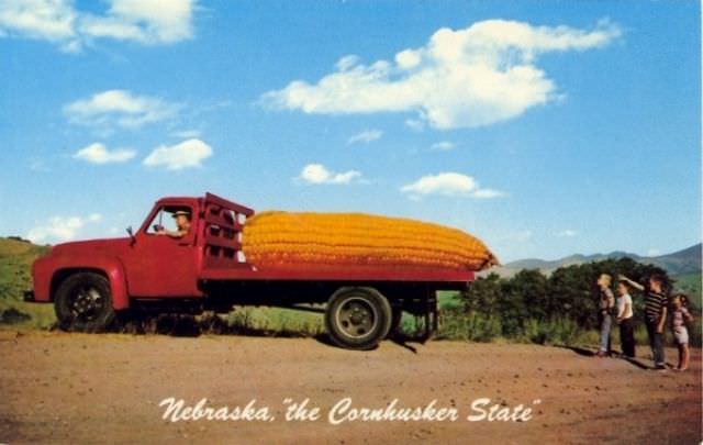 "Wish You Were Here... To Witness This Awkwardness!": A Journey Through Hilariously Bad Vintage Postcards