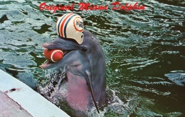 "Wish You Were Here... To Witness This Awkwardness!": A Journey Through Hilariously Bad Vintage Postcards