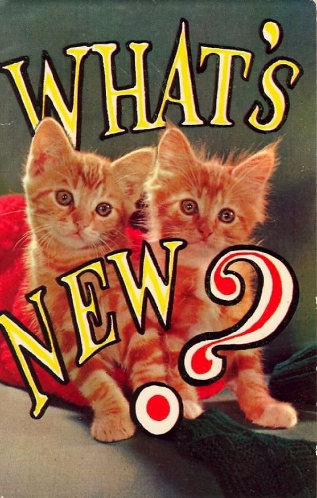 "Wish You Were Here... To Witness This Awkwardness!": A Journey Through Hilariously Bad Vintage Postcards