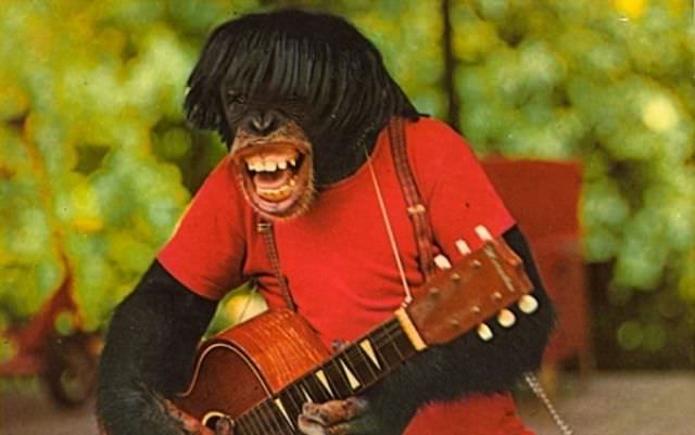 "Wish You Were Here... To Witness This Awkwardness!": A Journey Through Hilariously Bad Vintage Postcards
