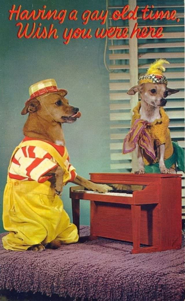 "Wish You Were Here... To Witness This Awkwardness!": A Journey Through Hilariously Bad Vintage Postcards