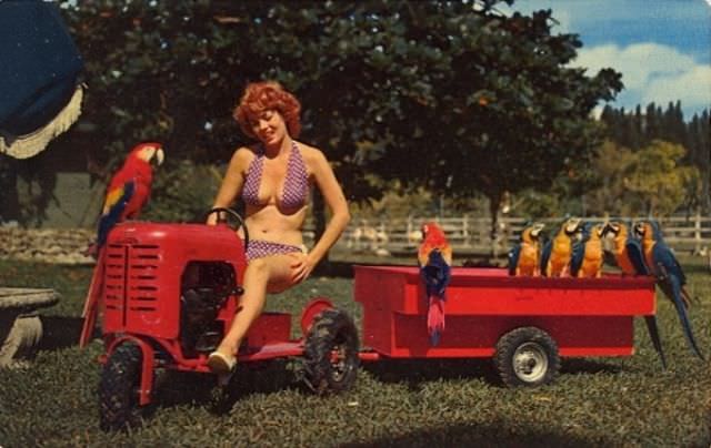 "Wish You Were Here... To Witness This Awkwardness!": A Journey Through Hilariously Bad Vintage Postcards