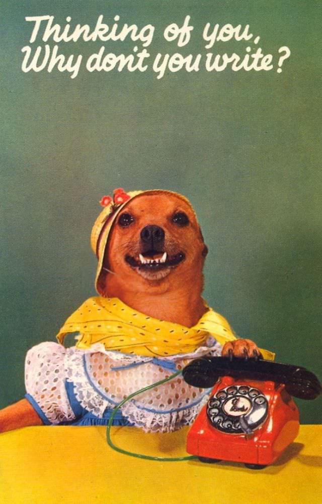 "Wish You Were Here... To Witness This Awkwardness!": A Journey Through Hilariously Bad Vintage Postcards