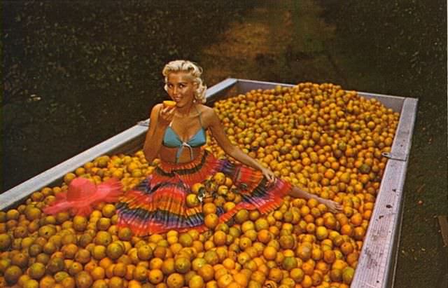 "Wish You Were Here... To Witness This Awkwardness!": A Journey Through Hilariously Bad Vintage Postcards