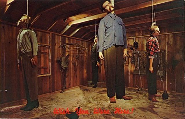 "Wish You Were Here... To Witness This Awkwardness!": A Journey Through Hilariously Bad Vintage Postcards
