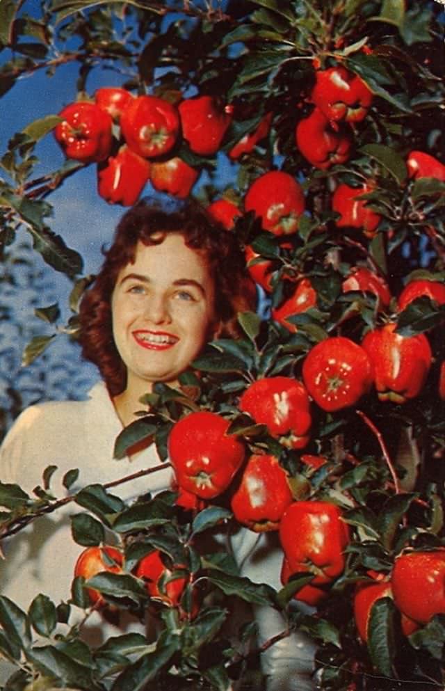 "Wish You Were Here... To Witness This Awkwardness!": A Journey Through Hilariously Bad Vintage Postcards