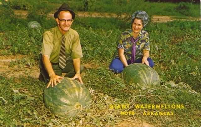 "Wish You Were Here... To Witness This Awkwardness!": A Journey Through Hilariously Bad Vintage Postcards