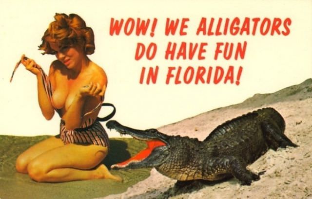 "Wish You Were Here... To Witness This Awkwardness!": A Journey Through Hilariously Bad Vintage Postcards