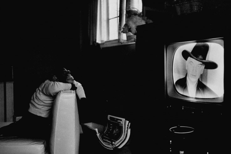 A performing chimpanzee named Zippy watches TV in 1955