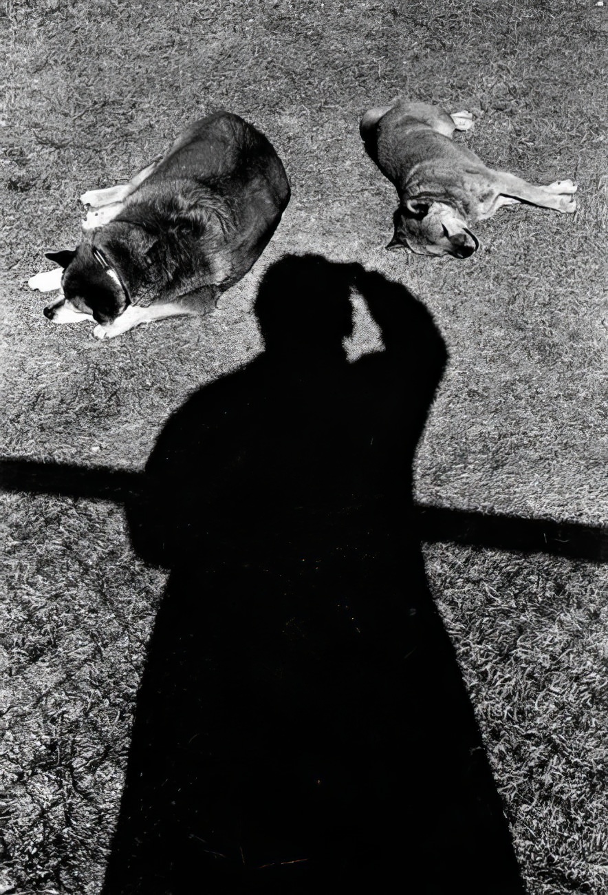 Daido Moriyama, Self-portrait with Dogs, 1997