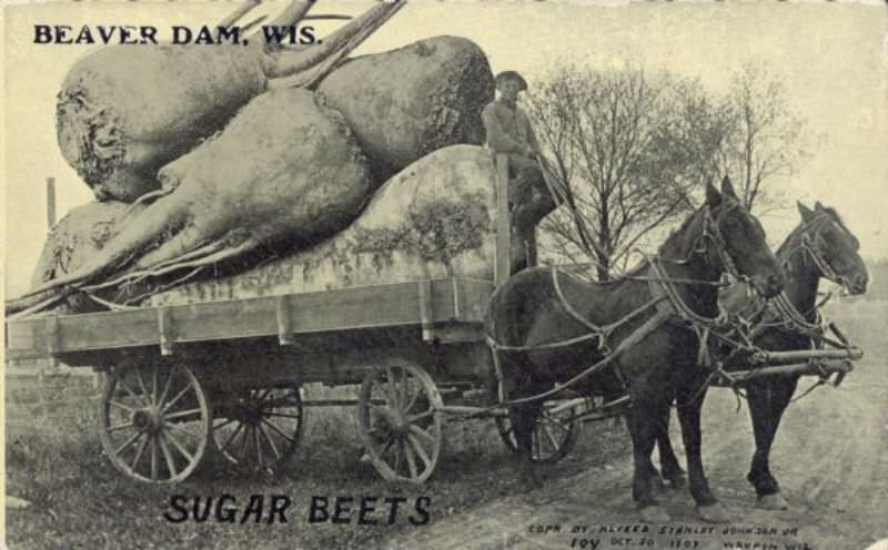 Strange and Funny Vintage Tall Tale Postcards from the 1900s that Exaggerate the Everyday
