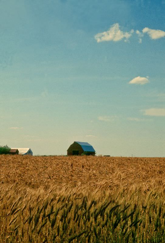 Elgin, Oklahoma, 1970s.