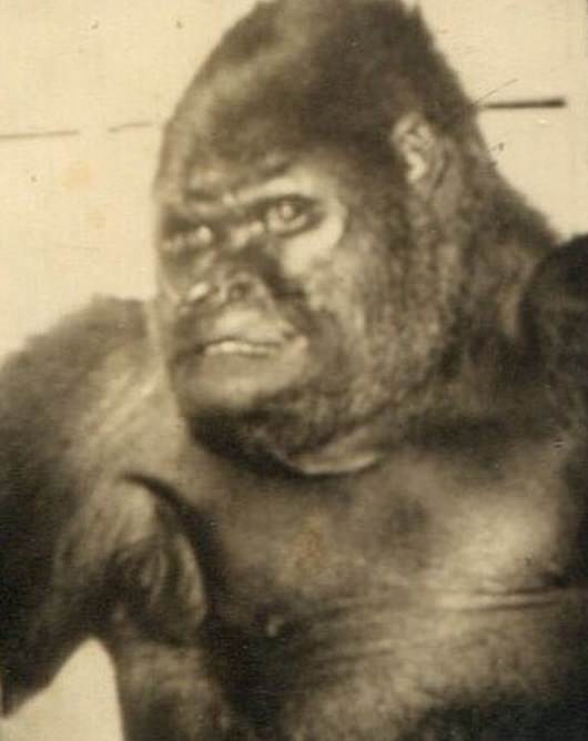 Say Cheese! Delightful Vintage Photo Booth Pictures from a Bygone Era