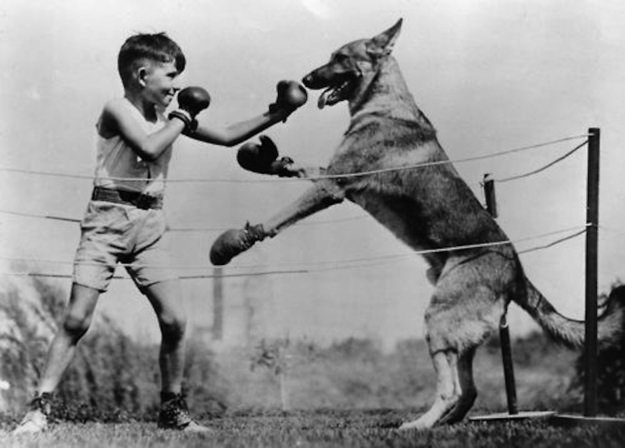 Wait, What?! Hilariously Bizarre Vintage Photos That Can't Be Explained