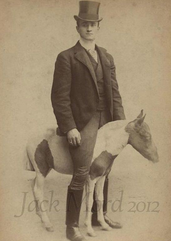 Wait, What?! Hilariously Bizarre Vintage Photos That Can't Be Explained