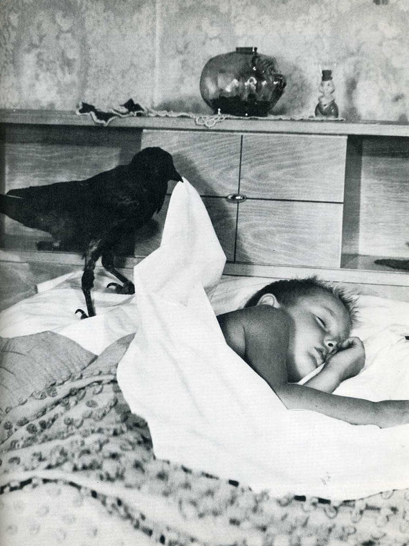 Wait, What?! Hilariously Bizarre Vintage Photos That Can't Be Explained
