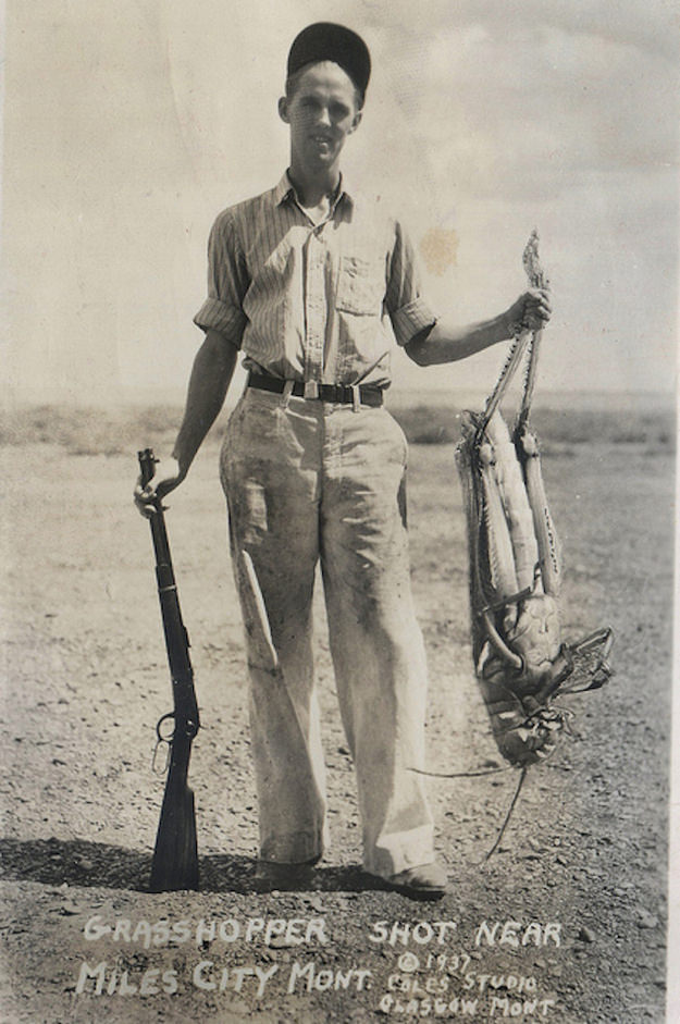 Wait, What?! Hilariously Bizarre Vintage Photos That Can't Be Explained