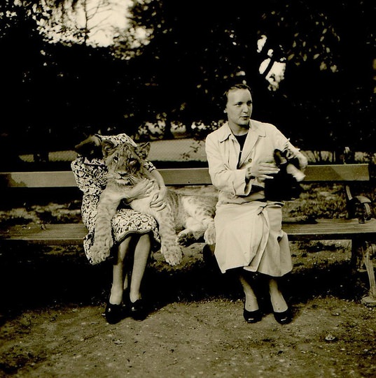 Wait, What?! Hilariously Bizarre Vintage Photos That Can't Be Explained