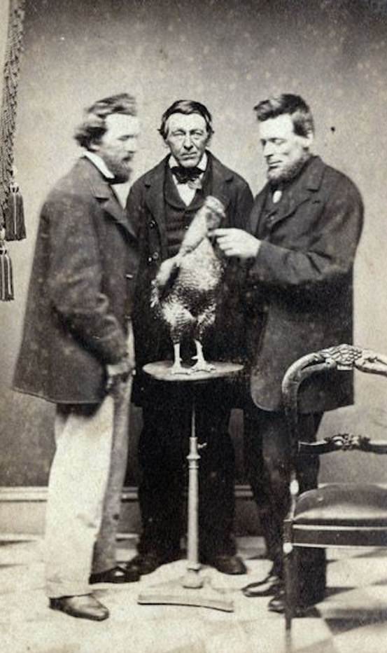 Wait, What?! Hilariously Bizarre Vintage Photos That Can't Be Explained