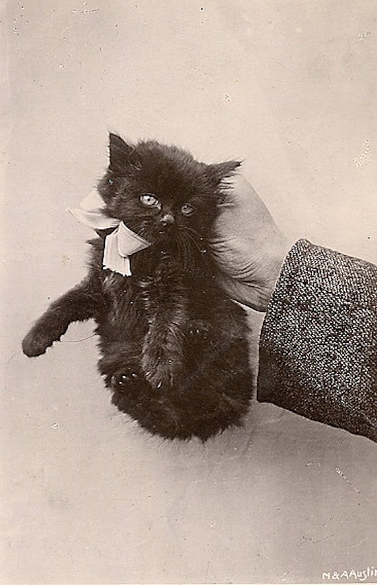 Wait, What?! Hilariously Bizarre Vintage Photos That Can't Be Explained