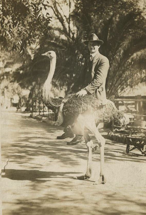 Tickling the Funny Bone of History: A Look at Humorous Vintage Photographs