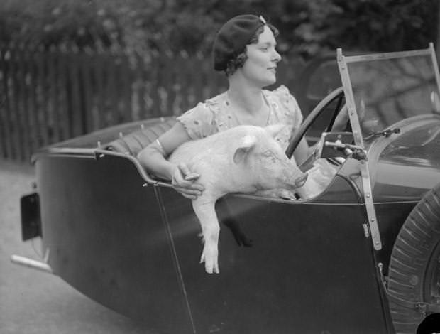 Mrs C Wylds with her pet pig at Terling in Essex, 1934.