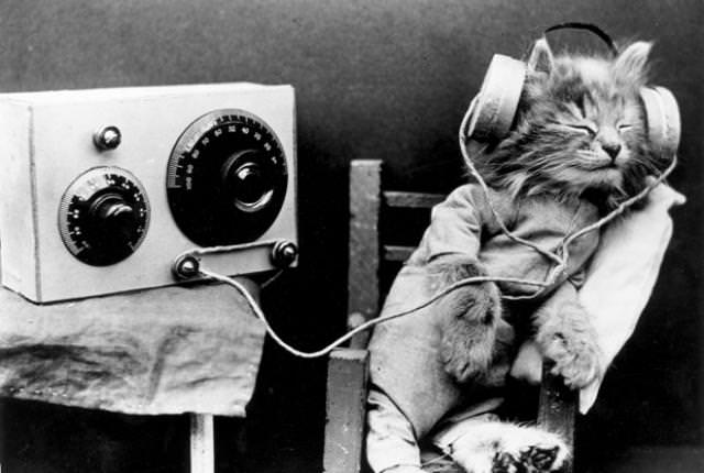 A cat listening to music with headphones, 1920s.