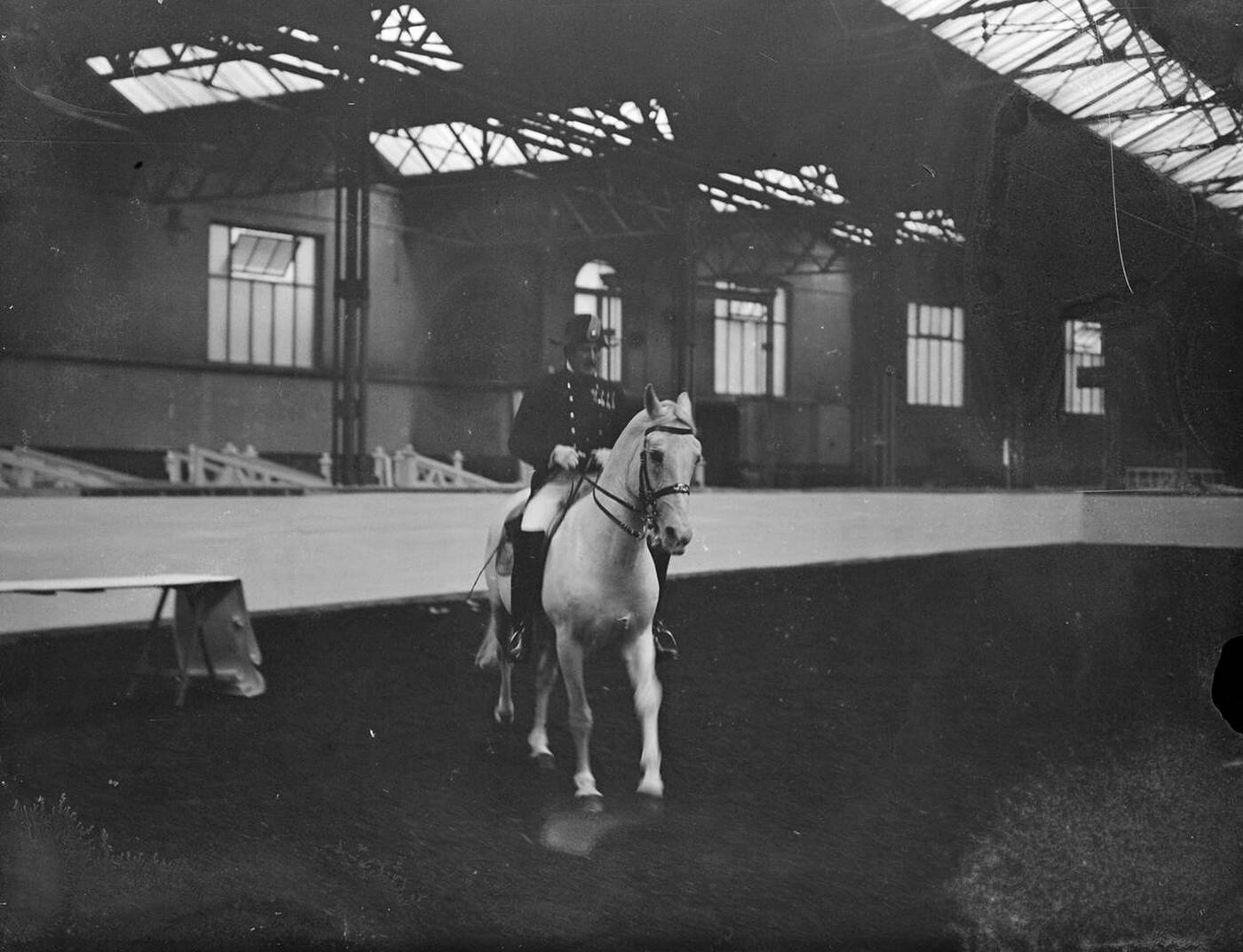 Herr Zrust and his horse Elizabeth at Olympia, London, 1936.