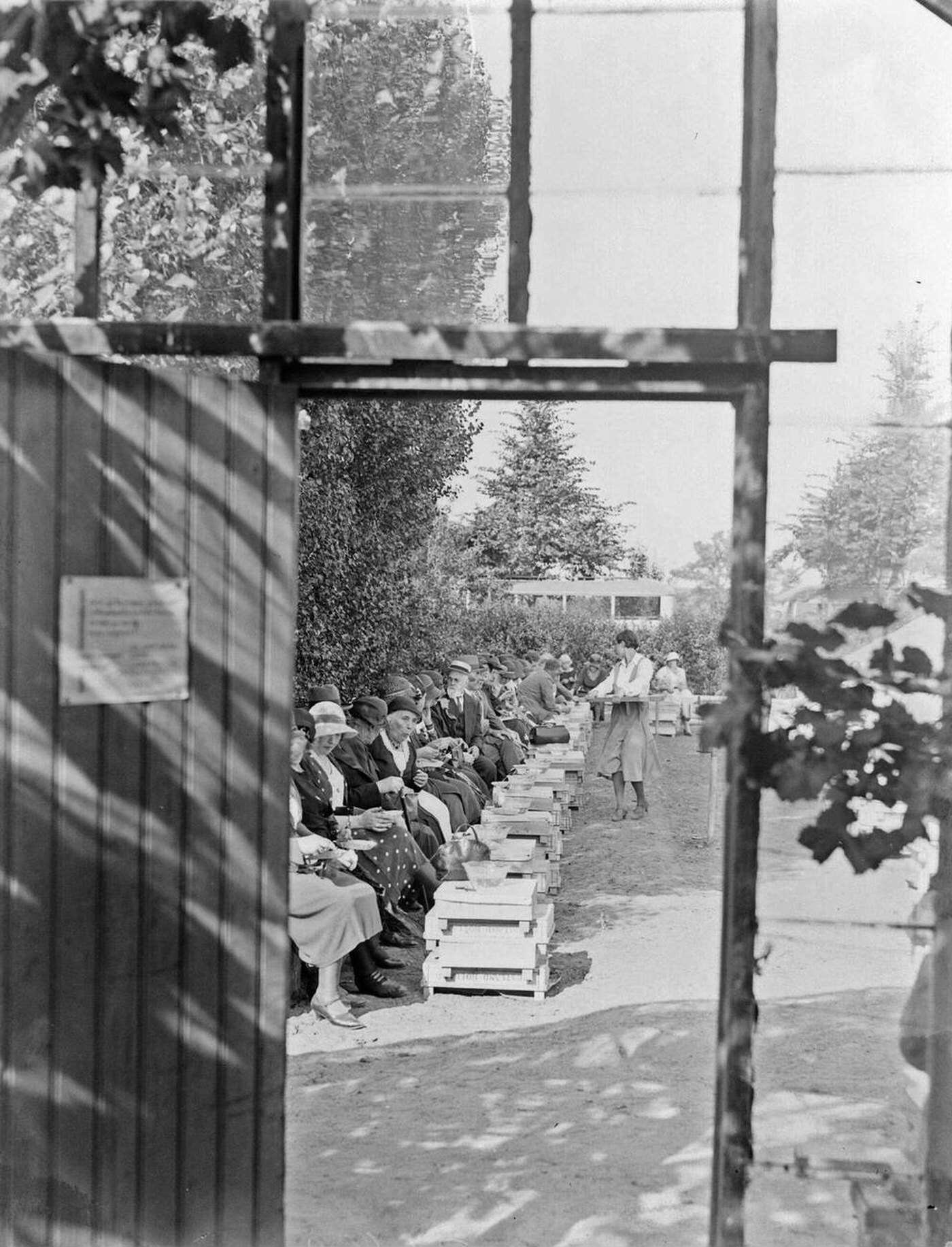Nursery visitors eat grapes in nursery J. van den Berg in Poeldijk, 1930s.