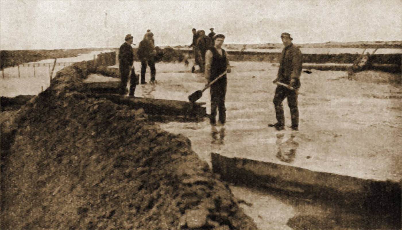 Men reclaiming the Zuiderzee by laying concrete, sand and earth over brushwood, 1930s.