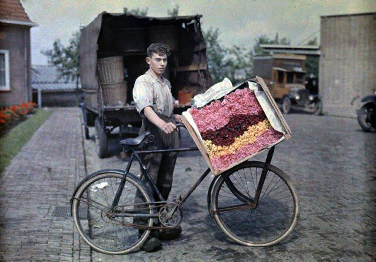 A young man brings flowers to the market in Aalsmeer, 1930s.