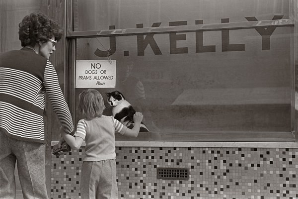 At J.Kelly, Pie & Mash, Bethnal Green