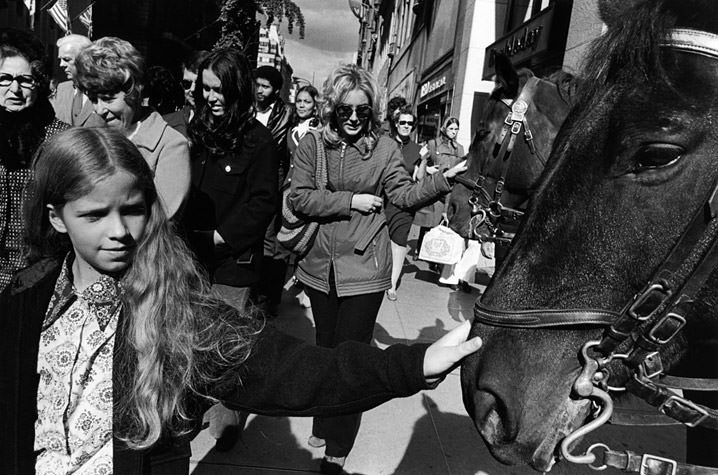 Girl and Woman Touching Horses, 1973