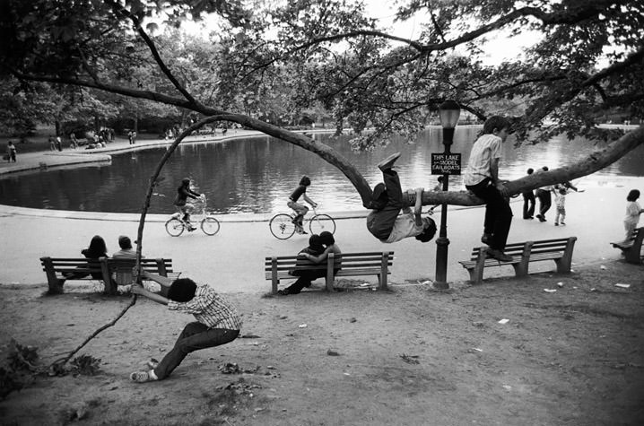 Central Park Pond - Kids in Tree, 1973