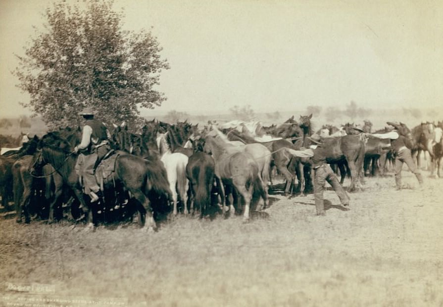 Roping and changing scene at --T Camp on round up of --T. 999 --S. & G., A.U.T. and others on Cheyenne River, 1890s.